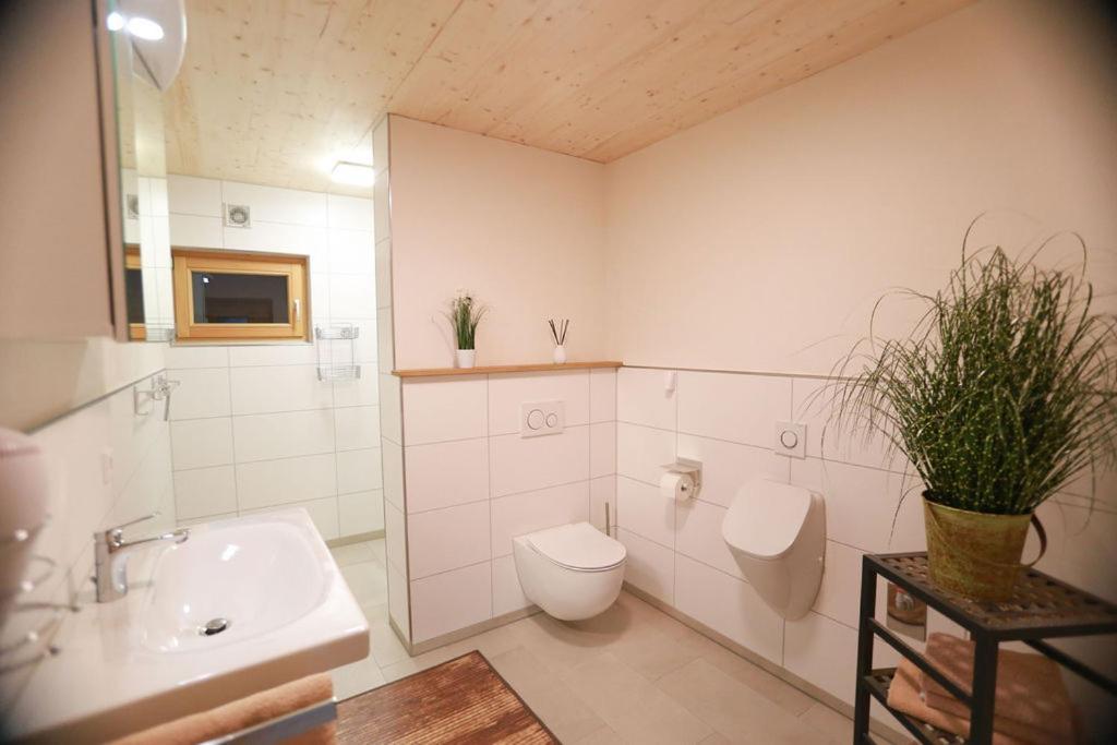 Daheim Im Geissetal Appartement St. Blasien Buitenkant foto