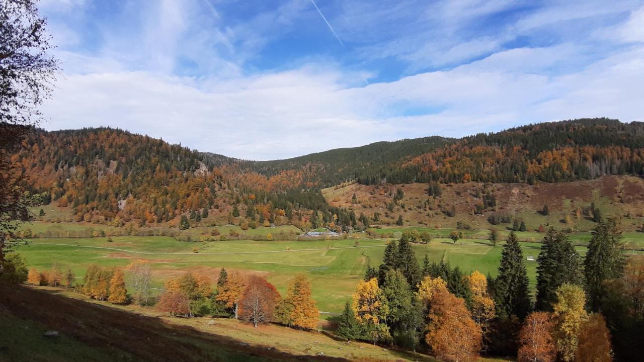 Daheim Im Geissetal Appartement St. Blasien Buitenkant foto