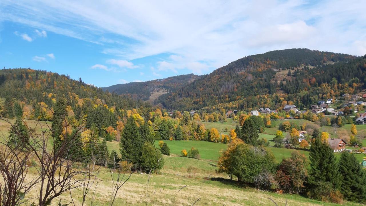 Daheim Im Geissetal Appartement St. Blasien Buitenkant foto