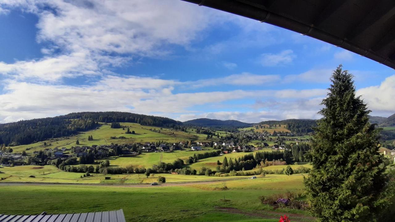 Daheim Im Geissetal Appartement St. Blasien Buitenkant foto